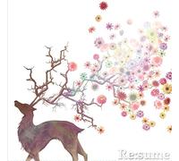 Re:Sume [Type a] [Import allemand]