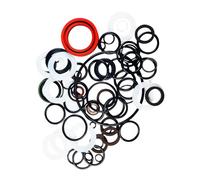 RE29109 AR96323 Kit de joint de pompe hydraulique compatible avec tracteurs John Deere 4000 4020 4040 410 4230 4240 4320 4430 4440 4520 4555 4560 4620 4630 4640 4650 4755 4760 4850 4955 310B 3140