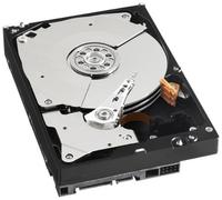 RE4 WD5003ABYX RE4 Disque dur interne 3,5" 500 Go + ReadyCache interne SSD 32 Go