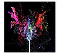 Rea Garvey - Rea Garvey: Prisma (PL) [CD]