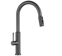 Rea Master mitigeur de cuisine sur pied graphite/gris REA-B7206