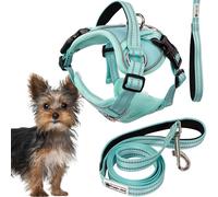 Rea, PuppyJoy Harnais avec Laisse pour Chien Pj-049 XS Green, Contrôle Optimal et Confort Pendant la Promenade