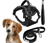 Rea, PuppyJoy Harnais avec Laisse pour Chien Pj-055 M Black, Contrôle Optimal et Confort Pendant la Promenade - 150x24x150cm