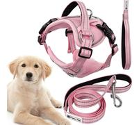 Rea, PuppyJoy Harnais avec Laisse pour Chien Pj-060 L Pink, Contrôle Optimal et Confort Pendant la Promenade - 150x28x150cm