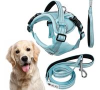 Rea, PuppyJoy Harnais avec Laisse pour Chien Pj-066 XL Blue, Contrôle Optimal et Confort Pendant la Promenade