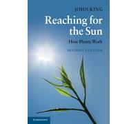 Reaching For The Sun