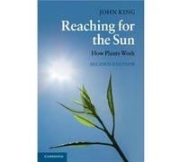 Reaching For The Sun