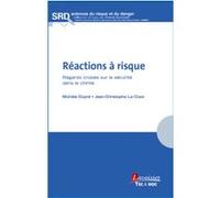 Réactions à risque - Regards croisés sur la sécurité dans la chimie Franck Guarnieri (Auteur), Jean-Christophe Le Coze (Auteur), Michèle Dupré (Auteur)