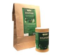 Reactivateur pour Fosses Septiques - 400 gr - Réduire la production d’hydrogène sulfuré - Permet d’Ensemencer une Fosse Neuve - Longue Durée - Curative et Préventive