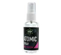 Reactor Baits Additifs Appâts Liquides Athomic Spray Ribes Nigrum 50ml