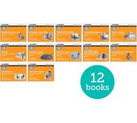 Read Write Inc. Phonics: Orange Set 4 More Black & White Storybooks (Pack of 12)