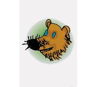 Read Write Inc. Phonics: Picture Sounds Card Pack of 118 Single(Cards)