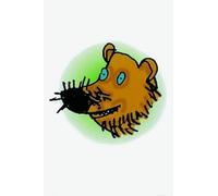 Read Write Inc. Phonics: Picture Sounds Cards School Pack Of 10 X 118