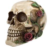 READAEER Réplique de crâne Humain réaliste Taille réelle modèle os (Rose)