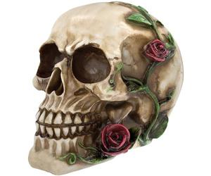 READAEER Réplique de crâne Humain réaliste Taille réelle modèle os (Rose)