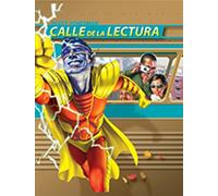 Reading 2011 Spanish Envision It! Picture Vocabulary Cards Grade 6