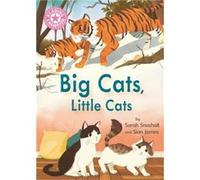 Reading Champion Big Cats Little Cats by Sarah Snashall Sarah Snashall (Auteur)