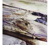 Ready Or Not [Import]