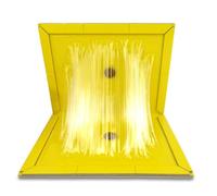 Ready Steady Defend 10 x Plaque Collante Souris | Piege a Souris Collante | Plaque de Glue pour Rat