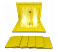 Ready Steady Defend 5 x Plaque Collante Souris | Piege a Souris Collante | Plaque de Glue pour Rat | Piege Rat Collant