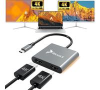 Reagle Adapter Hub HDMI 2x 4K 60Hz Full HD 165Hz USB-C 3.2 MST HDCP