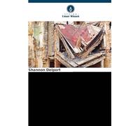 Reaktion auf das Erdbeben in Haiti: Eine südafrikanische Perspektive