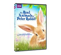 Real Animals of Peter Rabbit [Edizione: Stati Uniti] [Import]