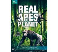 Real Apes of The Planet [Edizione: Stati Uniti] [Import]