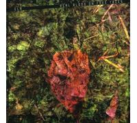 Real Blood on Fake Trees