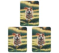 Real Maji Lot de 3 désodorisants carrés à suspendre pour voiture, maison, bureau, style noir