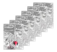 Realand Lot de 6 Sacs à vin Rechargeables avec Bec, étanches, réutilisables, à Utiliser avec Un Sac à Main, des Pochettes pour Boissons alcoolisées, Bouteilles cachées pour Liqueur