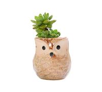 realideas Pots de fleurs en céramique en forme de chouette - Petits pots de fleurs mignons pour plantes grasses avec trou de drainage, porte-stylo, pot à crayons pour plantes d'intérieur et