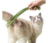 réalistes en forme de haricots verts pour chat, jouet d'enrichissement interactif pour chat, baguette en éponge, flexible et résistant aux morsures, pour faire des exercices de mouvement