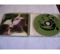 Reality Check [Import]