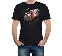 Reality Glitch Shirt avec Drapeau du Pays de Galles déchiré-Cadeau de Rugby Gallois-Taille XXL-Noir Homme