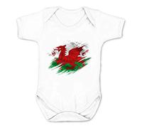 Reality Glitch Torn Wales Flag Kids Babygrow (White, 3-6 Months)