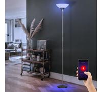 Reality Leuchten Lampadaire Plafonnier Dimmable LED Google Alexa Couleur