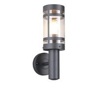 Reality Leuchten Paloma R21716142 Applique murale d'extérieur en métal anthracite, abat-jour en plastique transparent, sans 1 ampoule E27
