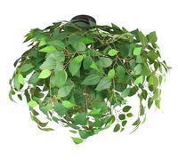 Reality Leuchten Plafonnier LEAVY R60463015, métal noir mat, feuilles plastique vert, excl. 3x E14