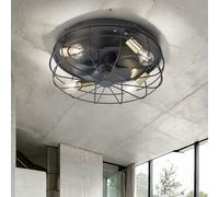 Reality Leuchten Trodheim Plafonnier avec ventilateur, E27, R61095032,