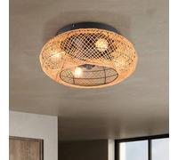 Reality Leuchten Ventilateur de plafond Lillesand avec lumière, silencieux, Ø 50 cm, télécommande, marron, Salon / Salle à manger, Métal