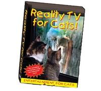 Reality TV for Cats!
