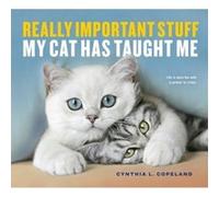 Really Important Stuff My Cat Has Taught Me