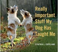 Really Important Stuff My Dog Has Taught Me – Workman Calendars