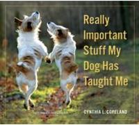 Really Important Stuff My Dog Has Taught Me