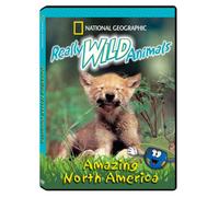 Really Wild Animals ~ National Geographic Amazing North America