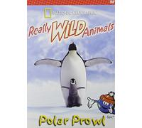 Really Wild Animals: Polar Prowl