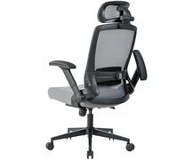 Realm of Thrones Valour Chaise de bureau ergonomique pour la maison, les jeux, appuie-tête 3D, dossier haut, maille confortable, accoudoirs rotatifs 2D, support lombaire réglable, base en acier