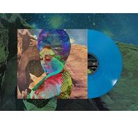 Realms / Solo album par le fondateur des B-52's Vinyle