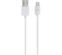RealPower Câble USB USB 2.0 USB-A mâle, Connecteur Lightning 1.00 m blanc 255649